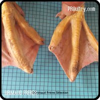 Tratamiento de garras por infrarrojos