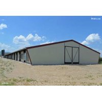 NAVES AVÍCOLAS

Desarrollo y montaje de todo tipo de naves avícolas: Naves avícolas para la cría de pollos de engorde (broilers),&nbsp;naves para gallinas ponedoras, gallinas camperas…

Granjas av...