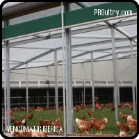producción de huevo número 2 en suelo RONDEEL