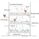 Ver productoAviario de recría UNISTART