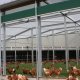 Ver productoproducción de huevo número 2 en suelo RONDEEL