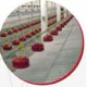 Red round shape