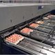 Ver productoClasificadora de huevos automática Moba 1500