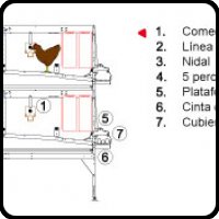 Sistema Aviario para gallinas ponedoras Combi