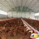 Ver productoPROYECTOS LLAVE EN MANO