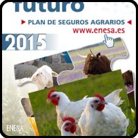 Seguro para granjas avícolas de carne