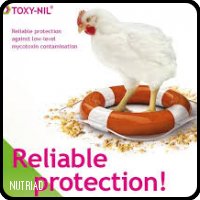 TOXY-NIL® PLUS