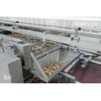 Automated Chick Waste Separator and Tipping Unit - ECAT