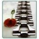 Ver productoFLAT CHAIN