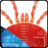 Red mite