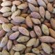 Ver productoHUESO DE ACEITUNA