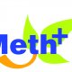 Ver productoMETIONINA-METHPLUS