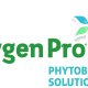 Ver productoFITOBIOTICO-HYGEN PRO