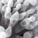 Ver productoFREE-TOX