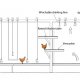 Ver productoJUMP START - Sistema Aviario de Crecimiento para Ponedoras