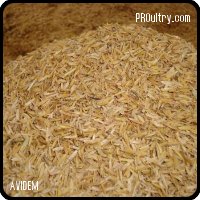 CASCARILLA DE AVENA PARA CAMA DE POLLOS