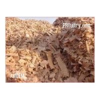 VIRUTA DE MADERA