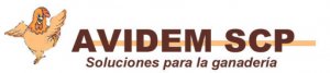 AVIDEM