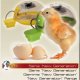 Ver productoIncubadoras para huevos gama pequeña y mediana Fiem