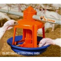Gladiator- Turkey Feeder