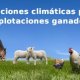 Ver productoNaves avícolas GESPROGA