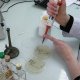 Ver productoPhytogramme® - Evaluación de la eficacia de los aceites esenciales