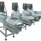 Ver productoSeparador sólidos/líquidos para huevos