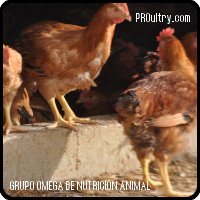 MICROMIX POLLOS ECOMEGA 0,3%