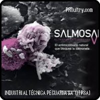 SALMOSAN