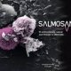Ver productoSALMOSAN