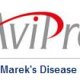 Ver productoAVIPRO - Enfermedad de Marek