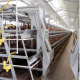 Ver productoJAULAS PARA CRIA Y RECRIA