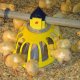 Ver productoComederos para recría Vitoo - Roxell