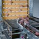 Ver productoSistema de Recogida de huevos Niágara