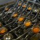 Ver productoEQUIPAMIENTO PARA OVOPRODUCTO