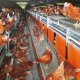 Ver productoAVIARIO NATURA NOVA TWIN Big Dutchman