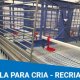 Ver productoJaulas para cría recría
