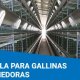 Ver productoJaula para gallinas ponedoras