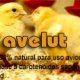 Ver productoAvelut