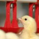 Ver productoSISTEMA O'MATIC