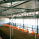 Ver productoNave móvil para broiler ecológico