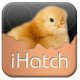 Ver productoiHatch-Chickens
