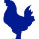 Ver productoPoultry Feed Formulation
