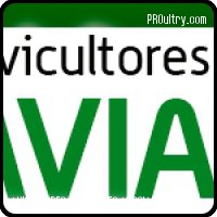 AVIANSO