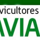 Ver productoAVIANSO