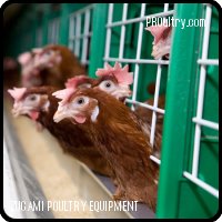 Batería Zucami