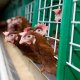 Ver productoBatería Zucami