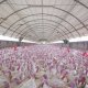 Ver productoProyectos llave en mano de COSMA