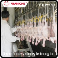 300 a 12000 BPH Matadero de aves de corral Máquina para sacrificio de pollos