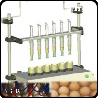 
	Candling
	Egg Sanitation
	Egg Vaccination
	Egg Transfer

